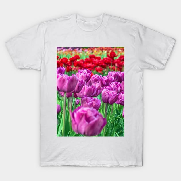 Tulip Field T-Shirt by BonniePhantasm